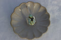 Variscite Ring Size 8